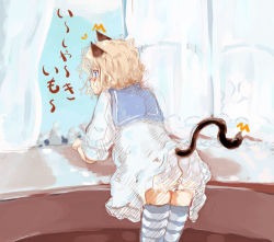 Rule 34 | animal ears, bent over, blonde hair, curly hair, lefty10, short hair, solo, striped clothes, striped thighhighs, tail, thighhighs, window