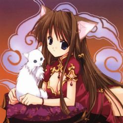 Rule 34 | animal ears, blue eyes, bracelet, brown hair, cat, cat ears, china dress, chinese clothes, dress, jewelry, long hair, thighhighs