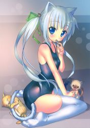 Rule 34 | 1girl, absurdres, animal ears, black one-piece swimsuit, blue eyes, cat, cat ears, cat hair ornament, cat tail, feet, hair ornament, hair ribbon, highres, long hair, one-piece swimsuit, original, ribbon, scan, school swimsuit, silver hair, sitting, solo, swimsuit, tail, takoyaki (roast), thighhighs, twintails, wariza, wet, white thighhighs