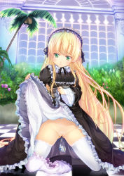 Rule 34 | 1girl, blonde hair, bloomers, bloomers around one leg, blush, checkered floor, cleft of venus, clothes lift, coconut, dress, dress lift, floor, flower, gosick, green eyes, hairband, has bad revision, highres, kneeling, lifted by self, lolita fashion, long hair, md5 mismatch, no panties, object insertion, palm tree, pussy, reflection, resolution mismatch, skirt, skirt lift, smoking pipe, solo, source smaller, tears, thighhighs, tomusooya, tree, uncensored, underwear, very long hair, victorica de blois, white thighhighs
