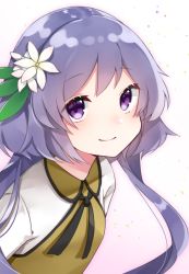 Rule 34 | 1girl, closed mouth, flower, hair flower, hair ornament, highres, katsuobushi (eba games), long hair, looking at viewer, purple eyes, purple hair, smile, solo, touhou, tsukumo benben, twintails, white background