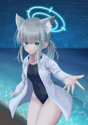 Rule 34 | 1girl, absurdres, animal ear fluff, animal ears, beach, black one-piece swimsuit, blue archive, blue eyes, breasts, commentary request, competition swimsuit, covered navel, cowboy shot, cross hair ornament, extra ears, grey hair, hair ornament, halo, highres, hood, hooded jacket, horizon, jacket, leaning forward, low ponytail, medium breasts, medium hair, mismatched pupils, multicolored clothes, multicolored swimsuit, night, ocean, official alternate costume, one-piece swimsuit, outdoors, partial commentary, shiroko (blue archive), shiroko (swimsuit) (blue archive), sky, solo, star (sky), starry night, starry sky, swimsuit, tail (nnsm zain), white jacket, wolf ears