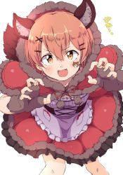 Rule 34 | 1girl, :d, alternate costume, animal ears, apron, bodice, capelet, claw pose, facial mark, frilled apron, frills, hair ornament, hairclip, highres, hood, hoshizora rin, little red riding hood, looking at viewer, love live!, love live! school idol project, open mouth, orange hair, red capelet, sen (sen0910), short hair, smile, solo, tail, v-shaped eyebrows, waist apron, white apron, wolf ears, wolf tail, x hair ornament, yellow eyes