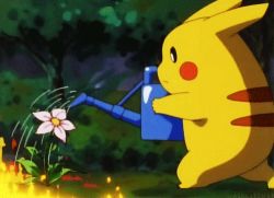 Rule 34 | animated, animated gif, creatures (company), fire, flower, game freak, gen 1 pokemon, lowres, nintendo, outdoors, pikachu, pokemon, pokemon (creature), water, watering can