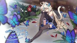 Rule 34 | 1girl, absurdres, animal ears, black thighhighs, blonde hair, blurry, bug, butterfly, cardigan, cat ears, cat girl, cat tail, clothes down, commission, depth of field, dress, flower, grass, heterochromia, highres, insect, kazana (sakuto), long hair, long sleeves, looking at viewer, plant, second-party source, short dress, sitting, skeb commission, sky print, sleeveless, sleeveless dress, smile, tail, thighhighs, very long hair, vrchat