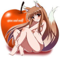 Rule 34 | 00s, 1girl, animal ears, apple, barefoot, blush, brown hair, censored, convenient censoring, feet, food, fruit, hair censor, hair over breasts, holo, kaga taichi, legs, nude, red eyes, saga taichi, sitting, solo, spice and wolf, tail, wolf ears, wolf tail