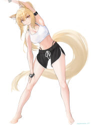 Rule 34 | 1girl, animal ear fluff, animal ears, arknights, arm up, armpits, bare shoulders, barefoot, black gloves, black panties, black shorts, blonde hair, breasts, brown eyes, camisole, cleavage, collarbone, commentary, crop top, dolphin shorts, english commentary, fingerless gloves, gloves, hair between eyes, half gloves, hand out of frame, highleg, highleg panties, highres, horse ears, horse girl, horse tail, leaning to the side, long hair, looking at viewer, medium breasts, nadenade (nananadenade), navel, nearl (arknights), panties, ponytail, short shorts, shorts, simple background, solo, standing, tail, underwear, very long hair, white background, white camisole
