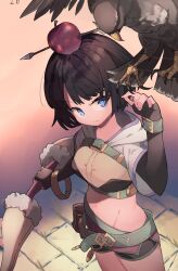 Rule 34 | 1girl, absurdres, apple on head, arrow (projectile), bird, black gloves, black hair, blue eyes, bow (weapon), breasts, closed mouth, commentary, crop top, english commentary, falcon, fingerless gloves, gloves, highres, holding, holding bow (weapon), holding weapon, hood, hood down, hunter (ragnarok online), medium breasts, midriff, ragnarok online, shimazaki1152, short hair, short shorts, shorts, simple background, standing, weapon