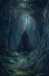 Rule 34 | 1boy, cloak, fate/extra, fate (series), forest, from behind, grass, highres, hood, hooded cloak, male focus, nature, outdoors, robin hood (fate), solo, torn clothes, tree, walking away