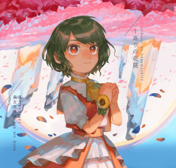 Rule 34 | 1girl, absurdres, alternate costume, artbook, ascot, bad id, bad pixiv id, flower, frilled skirt, frills, green hair, highres, kazami yuuka, layered skirt, looking up, open clothes, open skirt, own hands clasped, own hands together, petals, red eyes, red sash, red skirt, red vest, sash, scenery, short hair, skirt, smile, solo, sunflower, touhou, upside-down, vest, yai (hachihito), yellow ascot