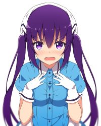 Rule 34 | &gt;:o, 1girl, :o, absurdres, blend s, blue shirt, blurry, blush, breasts, buttons, collared shirt, commentary request, cosplay, depth of field, gloves, gochuumon wa usagi desu ka?, hair between eyes, head scarf, heart, heart-shaped pupils, highres, hinata kaho, hinata kaho (cosplay), long hair, looking at viewer, manga time kirara, medium breasts, mottsun (i 40y), open mouth, purple eyes, purple hair, shirt, short sleeves, sidelocks, simple background, solo, symbol-shaped pupils, tedeza rize, twintails, upper body, v-shaped eyebrows, white background, white gloves, wing collar