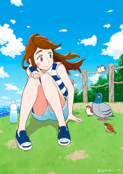Rule 34 | 1girl, bird, blue eyes, blue footwear, blue sky, blush, bottle, brown hair, cloud, cloudy sky, collared shirt, day, fence, highres, jupachi18, knees up, original, outdoors, plant, shirt, shoes, shorts, sitting, sky, sleeveless, sleeveless shirt, smile, solo, striped clothes, striped shirt, tree, twitter username, water, water bottle, wind