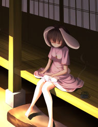 Rule 34 | 1girl, absurdres, animal, animal ears, animal on lap, bad id, bad pixiv id, bare legs, barefoot, black hair, breasts, brown hair, carrot necklace, closed eyes, dress, hair between eyes, headpat, highres, inaba tewi, jewelry, knees together feet apart, light smile, mosquito coil, necklace, on lap, outdoors, pendant, pink dress, rabbit, rabbit ears, rerrere, ribbon trim, rock, shade, shadow, short hair, short sleeves, shouji, sitting, sliding doors, small breasts, smile, smoke, touhou, veranda
