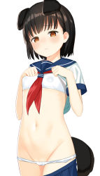 Rule 34 | 1girl, absurdres, animal ears, black hair, blue skirt, blush, breasts, brown eyes, closed mouth, covered erect nipples, dog ears, dog tail, extra ears, highres, looking at viewer, navel, neckerchief, original, oz ma33, panties, red neckerchief, short hair, short sleeves, skirt, small breasts, solo, tail, underwear, uniform, upper body, white panties