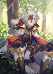 Rule 34 | 1boy, animal ears, bodysuit, bush, cloak, closed mouth, feet out of frame, forest, frown, gloves, granblue fantasy, grey eyes, grey hair, half mask, highres, hood, hood down, hooded cloak, jiman, knee pads, knees up, looking at viewer, male focus, mask, mole, mole under eye, nature, outdoors, pants, rock, seox (granblue fantasy), short hair, sitting, solo, sunlight, thai commentary, tree, v-shaped eyebrows, white gloves, white pants