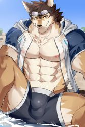 Rule 34 | 1boy, abs, animal ears, ao (chung0u0), bara, bare pectorals, barrel (cool gunfighter) (live a hero), barrel (live a hero), beige fur, black jammers, black male swimwear, brown fur, bulge, dog boy, dog ears, dog tail, feet out of frame, furry, furry male, goggles, goggles on head, grey male swimwear, highres, jammers, large pectorals, live a hero, looking at viewer, male focus, male swimwear, muscular, muscular male, navel, nipples, official alternate costume, open clothes, open shirt, orange fur, paid reward available, pectorals, seductive smile, see-through, short hair, sitting, smile, solo, stomach, swimsuit, tail, thick thighs, thighs