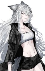 Rule 34 | 1girl, animal ears, arknights, bandeau, black jacket, black shorts, breasts, commentary, cowboy shot, gawako, grey eyes, grin, hair between eyes, hair ornament, hairclip, highres, jacket, lappland (arknights), long hair, long sleeves, looking at viewer, midriff, navel, open clothes, open jacket, short shorts, shorts, simple background, small breasts, smile, solo, standing, stomach, strapless, tube top, very long hair, white background, white hair, wolf ears