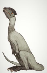 Rule 34 | animal focus, dilophosaurus, dinosaur, from side, full body, highres, looking up, mossacannibalis, no humans, original, simple background, white background