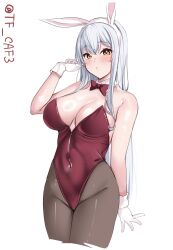 Rule 34 | 1girl, animal ears, bare shoulders, blush, breasts, brown eyes, detached collar, fake animal ears, highres, kantai collection, large breasts, leotard, long hair, looking at viewer, pantyhose, playboy bunny, rabbit ears, red leotard, shoukaku (kancolle), solo, strapless, strapless leotard, tf cafe, white hair
