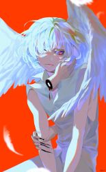 Rule 34 | 1boy, :p, aimitkkays, androgynous, bare shoulders, bleeding, blood, blurry, collared shirt, copyright request, cuts, depth of field, diagonal bangs, eyelashes, feathered wings, feathers, floating hair, hair over one eye, hand on own face, head wings, highres, injury, looking away, looking down, pink eyes, red background, severed limb, shirt, short hair, simple background, sitting, sleeveless, sleeveless shirt, solo, tongue, tongue out, upper body, v arms, white hair, white shirt, white wings, wings