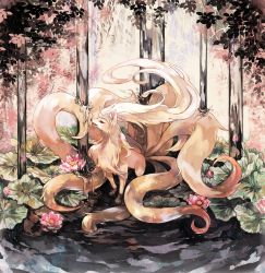 Rule 34 | animal, brown eyes, creatures (company), flower, fox, full body, game freak, gen 1 pokemon, highres, in water, lily pad, looking to the side, lotus, mokunami, multiple tails, ninetales, nintendo, no humans, open mouth, pink flower, pokemon, pokemon (creature), pokemon rgby, solo, standing, standing on liquid, tail