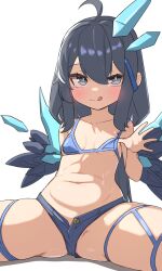 Rule 34 | 1girl, :q, ahoge, bikini, bikini top only, black eyes, black hair, blue bikini, blue shorts, breasts, bright pupils, closed mouth, crystal, hair between eyes, highres, honkai (series), honkai impact 3rd, kyaong, long hair, navel, shorts, simple background, sitting, small breasts, smile, solo, spread legs, stomach, swimsuit, tongue, tongue out, water&#039;s edge, white background, white pupils, wings
