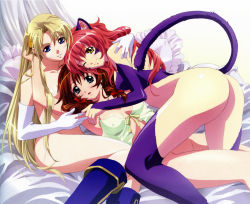 Rule 34 | 3girls, absurdres, animal ears, ass, bed, blonde hair, blue eyes, blush, bottomless, brown hair, cat ears, cat tail, covered erect nipples, elbow gloves, female focus, gloves, green eyes, highres, lingerie, long hair, looking at viewer, multiple girls, nina (words worth), nude, one eye closed, open mouth, pillow, retro artstyle, rin-sin, sharon, sitting, smile, tail, thighhighs, underwear, wallpaper, wink, words worth, yellow eyes