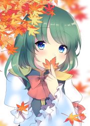 Rule 34 | 1girl, absurdres, asymmetrical hair, blue eyes, blurry, bow, bowtie, depth of field, epaulettes, green hair, highres, holding, holding leaf, juliet sleeves, leaf, long sleeves, looking at viewer, maple leaf, no headwear, puffy sleeves, red bow, red bowtie, shiki eiki, shinoki sayuki, short hair, solo, touhou, upper body