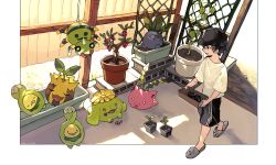Rule 34 | 1boy, baseball cap, black hair, black headwear, black shorts, budew, closed mouth, commentary request, creatures (company), drooling, closed eyes, game freak, gen 1 pokemon, gen 2 pokemon, gen 4 pokemon, grey footwear, hat, holding, hoppip, male focus, mouth drool, newo (shinra-p), nintendo, oddish, open mouth, plant, pokemon, pokemon (creature), potted plant, shirt, short hair, short sleeves, shorts, skiploom, slippers, smile, soil, spinarak, standing, sunkern, tongue, white shirt, yellow eyes
