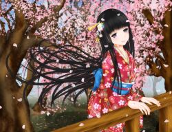 Rule 34 | 1girl, belt, black hair, blue belt, cherry blossoms, closed mouth, commentary request, day, dot nose, feet out of frame, floral print, flower, grey eyes, hair flower, hair ornament, head tilt, hime cut, himegami aisa, japanese clothes, kimono, light blush, long hair, long sleeves, looking at viewer, outdoors, red kimono, shin (highest1192), sidelocks, smile, solo, standing, toaru majutsu no index, toaru majutsu no index: old testament, tree, very long hair, wide sleeves, wind, yukata