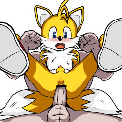 Rule 34 | 2boys, anal, animal ears, animal nose, antenna hair, ass, bar censor, blue eyes, blush, censored, erection, fox boy, fox ears, fox tail, full nelson, fur collar, furry, furry male, held up, interspecies, male focus, male penetrated, multiple boys, multiple tails, open mouth, penis, sex, sex from behind, shoe soles, simple background, size difference, snout, solo focus, sonic (series), spread legs, sweat, tail, tails (sonic), testicles, thighs, white background, yaoi
