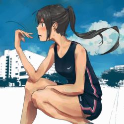 Rule 34 | 1girl, black hair, cloud, fanning, gym uniform, long hair, looking away, nike (company), original, photo background, ponytail, profile, sky, solo, squatting, sweat, taxi (owp)
