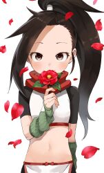 Rule 34 | 1girl, absurdres, black hair, brown eyes, commentary request, crop top, duplicate, flower, forehead, high ponytail, highres, holding, holding flower, kunoichi tsubaki no mune no uchi, long hair, midriff, navel, petals, ponytail, red flower, short sleeves, simple background, solo, tsubaki (kunoichi tsubaki no mune no uchi), very long hair, white background, yamamoto souichirou