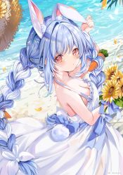 Rule 34 | 1girl, animal ear fluff, animal ears, arm up, bare arms, beach, blue hair, blush, braid, breasts, carrot hair ornament, cleavage, day, dress, extra ears, flower, food-themed hair ornament, hair ornament, hair ribbon, halter dress, halterneck, hat, highres, holding, holding flower, hololive, long hair, looking at viewer, medium breasts, multicolored hair, outdoors, petals, rabbit ears, rabbit girl, rabbit tail, red eyes, ribbon, short eyebrows, solo, soraneko hino, straw hat, sunflower, tail, thick eyebrows, twin braids, twintails, twitter username, two-tone hair, usada pekora, very long hair, virtual youtuber, white dress, white hair, white ribbon, yellow flower