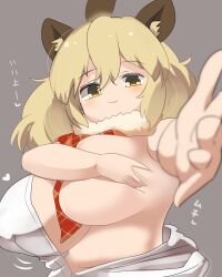Rule 34 | 1girl, :3, animal ears, between breasts, blonde hair, blush, breasts, closed mouth, commentary request, covering nipples, covering one nipple, covering privates, fur collar, grey background, hair between eyes, heart, highres, huge breasts, kemono friends, lets0020, lion (kemono friends), lion ears, lion girl, long hair, looking at viewer, medium bangs, necktie, necktie between breasts, plaid necktie, reaching, reaching towards viewer, red necktie, shirt, simple background, smile, solo, translation request, undressing, upper body, white shirt