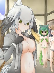 Rule 34 | 10s, 3girls, armadillo ears, bad id, bad pixiv id, barefoot, black eyes, black gloves, black hair, blush, breast awe, breast envy, breasts, brown eyes, chameleon tail, clenched hand, closed mouth, collared shirt, commentary request, covering breasts, covering privates, fence, flat chest, frown, giant armadillo (kemono friends), gloves, green gloves, green hair, grey hair, grey shirt, hair between eyes, head tilt, head wings, highres, hood, kemono friends, large breasts, looking at breasts, medium breasts, multicolored hair, multiple girls, navel, nose blush, open clothes, open mouth, open shirt, panther chameleon (kemono friends), panties, rock, shaded face, shirt, shoebill (kemono friends), short sleeves, standing, staring, striped clothes, striped panties, tail, topless, underwear, undressing, white gloves, wing collar, wings, wooden fence, yamamoto rintarou