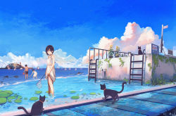 Rule 34 | 1boy, 2girls, animal, bird, black hair, blue eyes, blush, bucket, cat, closed mouth, cloud, day, fishing net, hanasei, highres, holding, holding bucket, ladder, lighthouse, lily pad, looking at viewer, looking away, moss, multiple girls, original, outdoors, outline, plant, potted plant, seagull, short hair, smile, wading, white outline