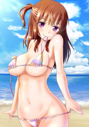 Rule 34 | 1girl, bad id, bad pixiv id, beach, bikini, bikini in mouth, breasts, brown hair, clothes in mouth, day, highres, karinaga raizan, large breasts, long hair, mouth hold, one side up, original, purple eyes, side ponytail, solo, swimsuit, untied