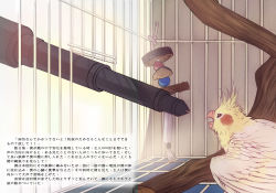 Rule 34 | angry, bird, branch, cage, cockatiel, comic, era (traveling bird), fishball, no humans, original, parrot, translation request
