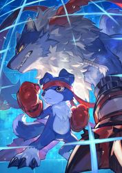 Rule 34 | absurdres, belt, black belt, blue background, blue eyes, boxing gloves, claws, commentary, digimon, digimon (creature), fangs, furry, gaogamon, gaomon, headband, highres, leg belt, looking to the side, red headband, serious, sharp teeth, standing, tapioka chaso, teeth, yellow eyes