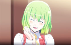 Rule 34 | 1girl, ^ ^, ascot, blush, closed eyes, closed eyes, female focus, green hair, h-new, own hands clasped, happy, head tilt, kazami yuuka, open mouth, own hands together, shirt, smile, solo, touhou, upper body, vest