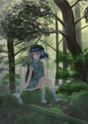Rule 34 | 1girl, backlighting, backpack, bag, bananannu, basket, blue dress, blue eyes, blue hair, blurry, blush, boots, cucumber, day, depth of field, dress, expressionless, flat cap, forest, frilled skirt, frills, hair between eyes, hair bobbles, hair ornament, hat, highres, kawashiro nitori, key, looking to the side, moss, nature, outdoors, rock, rubber boots, short hair, sitting, sitting on rock, skirt, sleeves rolled up, solo, stream, touhou, twintails, wind
