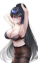 Rule 34 | 1girl, armpits, arms behind head, arms up, black bra, black hair, black panties, blue hair, blush, bra, breasts, brown pantyhose, cleavage, collarbone, commentary request, girls&#039; frontline, hair ornament, hairclip, hei d, highres, jericho (girls&#039; frontline), lace, lace-trimmed bra, lace trim, large breasts, long hair, looking at viewer, multicolored hair, navel, panties, panties under pantyhose, pantyhose, solo, streaked hair, tying hair, underwear, very long hair