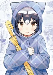 Rule 34 | 1girl, alternate costume, animal ears, blue hair, blue raincoat, blush, brown eyes, commentary request, common raccoon (kemono friends), crossed arms, grey hair, holding, holding umbrella, hood, kemono friends, looking at viewer, multicolored hair, open mouth, raccoon ears, raccoon tail, rain, raincoat, short hair, solo, suicchonsuisui, tail, umbrella, upper body, white hair, yellow umbrella