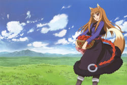 Rule 34 | 00s, 1girl, :d, animal ears, apple, basket, boots, brown hair, carrying, cloud, day, dress, food, fruit, fur trim, grass, highres, holo, jewelry, kuroda kazuya, long hair, mountain, necklace, official art, open mouth, outdoors, pouch, red eyes, scan, sky, smile, solo, spice and wolf, standing, tail, vest, wolf ears, wolf tail