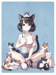 Rule 34 | 1girl, animal, animal ears, animal on head, bare legs, bare shoulders, black hair, blue background, blue eyes, bra strap, breasts, cat, cat day, cat ears, cat girl, cat on head, cat tail, cat teaser, collarbone, denim, denim shorts, feathers, full body, indian style, looking up, medium breasts, medium hair, midriff peek, on head, open mouth, original, shirt, shoes, short shorts, shorts, simple background, sitting, sneakers, soujirou, swept bangs, tail, too many, too many cats, white shirt