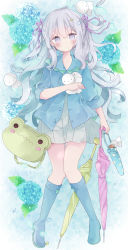 Rule 34 | 1girl, absurdres, animal bag, blue eyes, blue flower, blue footwear, blue jacket, blush, boots, closed mouth, closed umbrella, commentary, dress, flower, full body, green umbrella, grey dress, grey hair, hair between eyes, hair ornament, hair ribbon, hairclip, head tilt, highres, hydrangea, jacket, knee boots, long hair, long sleeves, looking at viewer, lying, on back, original, pleated dress, puffy long sleeves, puffy sleeves, purple ribbon, purple umbrella, ribbon, solo, symbol-only commentary, teruterubouzu, tsukiyo (skymint), two side up, umbrella, very long hair, water drop