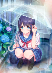 Rule 34 | 1girl, bag, bare arms, black footwear, black hair, black socks, blouse, blue eyes, blue flower, blue skirt, blurry, blush, closed mouth, collarbone, eyebrows, flower, from above, frown, hair ornament, tucking hair, hairclip, highres, holding, holding umbrella, hydrangea, kneehighs, loafers, looking to the side, miniskirt, mizu no, neckerchief, original, outdoors, pavement, plant, pleated skirt, pov, puddle, purple flower, railing, rain, red neckerchief, school uniform, serafuku, shadow, shirt, shoes, short hair, short sleeves, shoulder bag, skirt, socks, solo, squatting, strap slip, taking picture, transparent, transparent umbrella, umbrella, water drop, white shirt