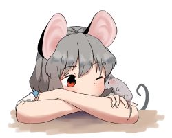 Rule 34 | 1girl, absurdres, animal ears, blush, commentary request, crossed arms, grey hair, highres, kashiwa kona, looking at animal, mouse (animal), mouse ears, mouse girl, mouse tail, nazrin, one eye closed, portrait, red eyes, short hair, simple background, solo, tail, touhou, white background
