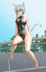 Rule 34 | 1girl, animal ears, barefoot, black one-piece swimsuit, blue eyes, blue hair, cat ears, competition swimsuit, day, dutch angle, full body, halcyon (halcyon90), looking at viewer, one-piece swimsuit, outdoors, railing, short hair, sinon (sao-alo), sitting, solo, swimsuit, sword art online, tail, turtleneck, twitter username